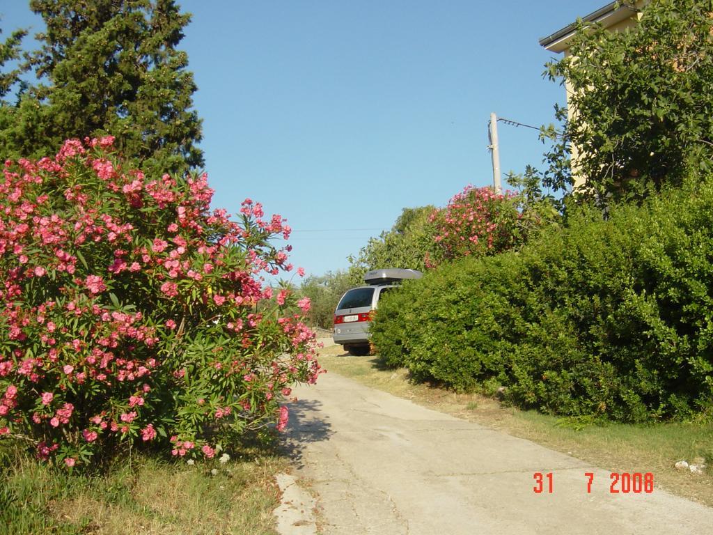 Apartments Prahovic Zdrelac Exterior photo